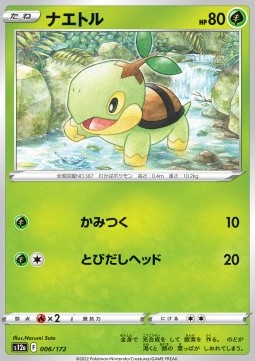 Turtwig 
